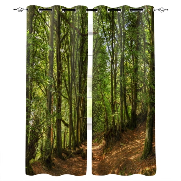 Woodland Curtains Woodland Scene with Trees and Pathway Foliage Trunk Greenery Outdoor Scenic Picture Living R