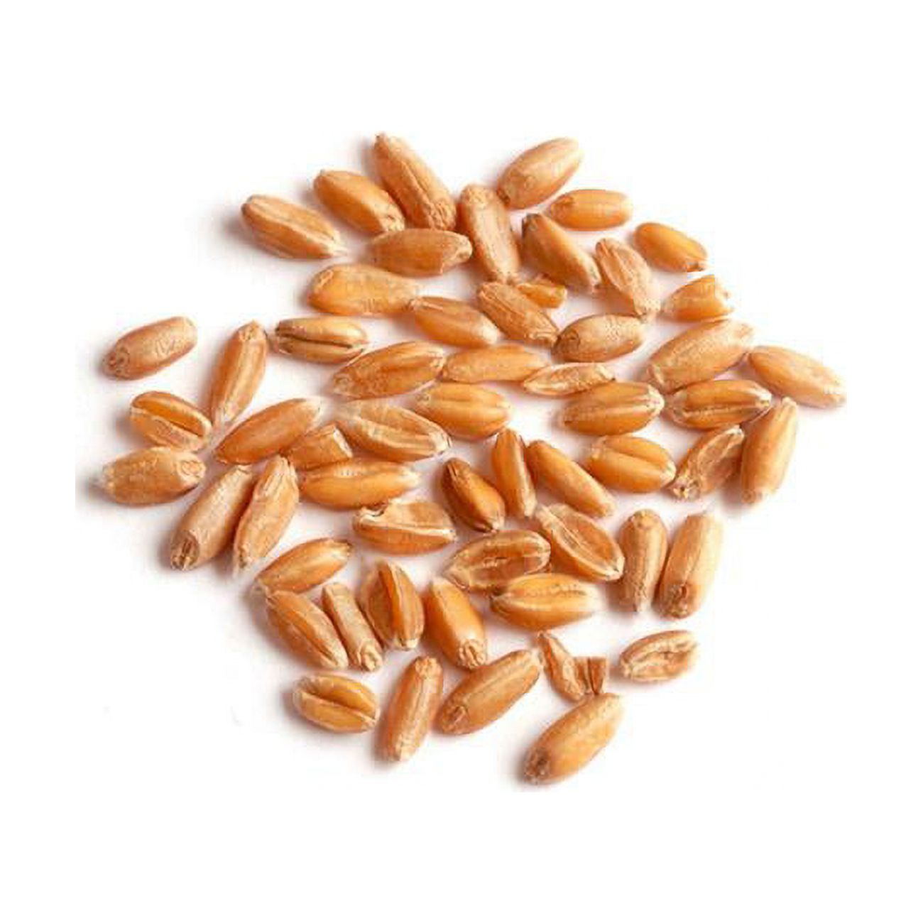 Woodland Foods 006971 25 lbs Spelt Grains