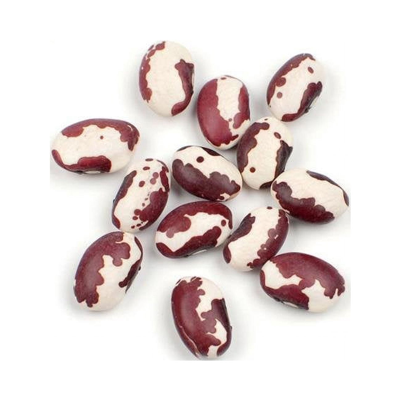 Woodland Foods 10 lbs Anasazi Beans