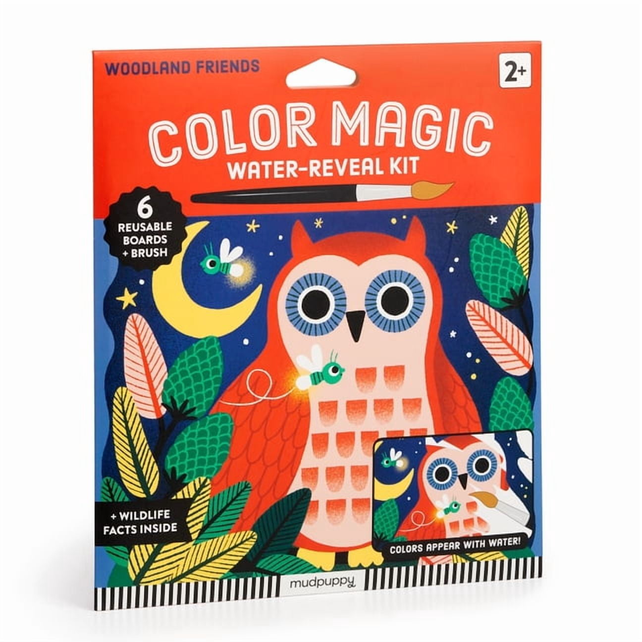 Woodland Friends Color Magic Water-Reveal Kit, (Hardcover)