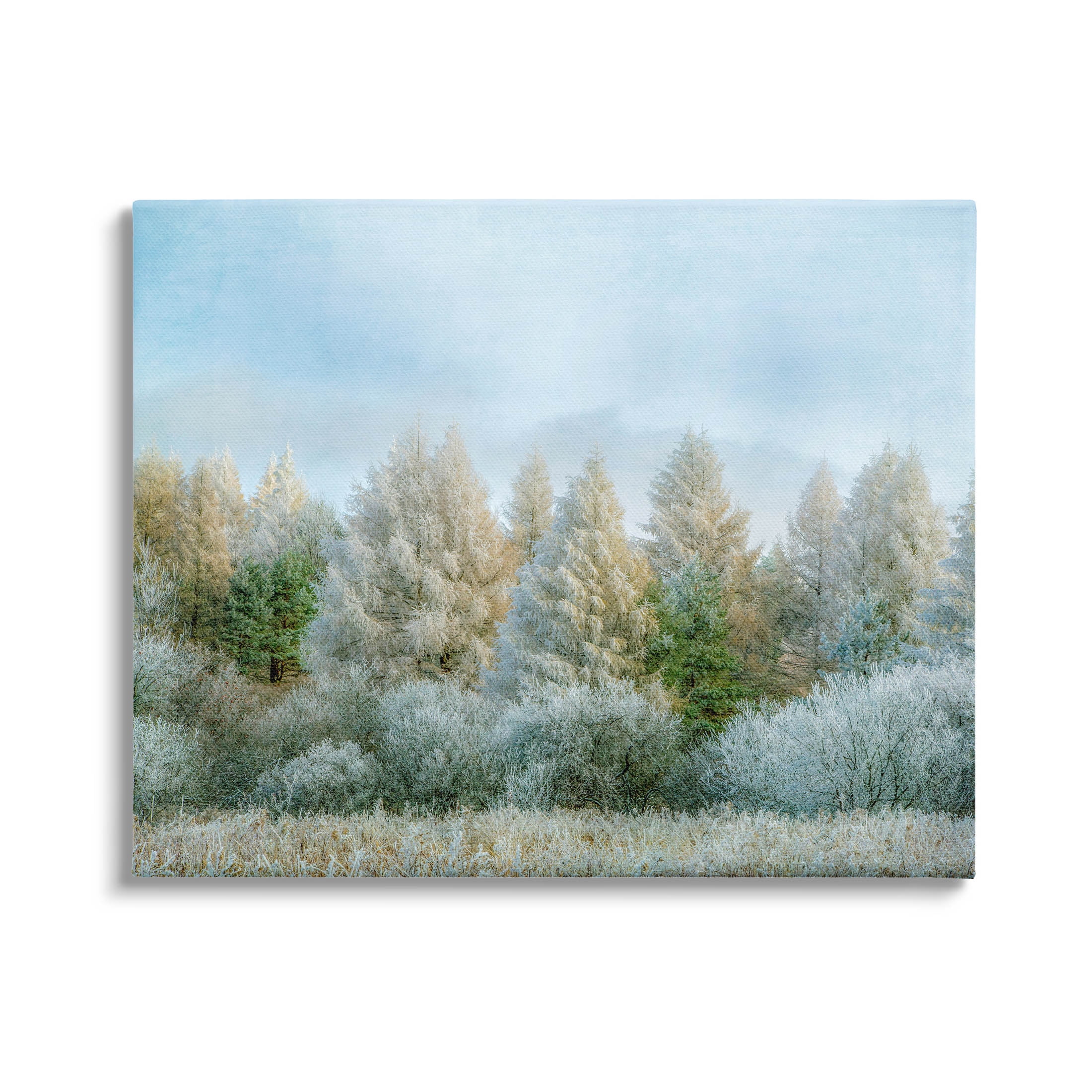 Woodland Grove Forest Trees Landscape Photograph Gallery Wrapped Canvas Print Wall Art
