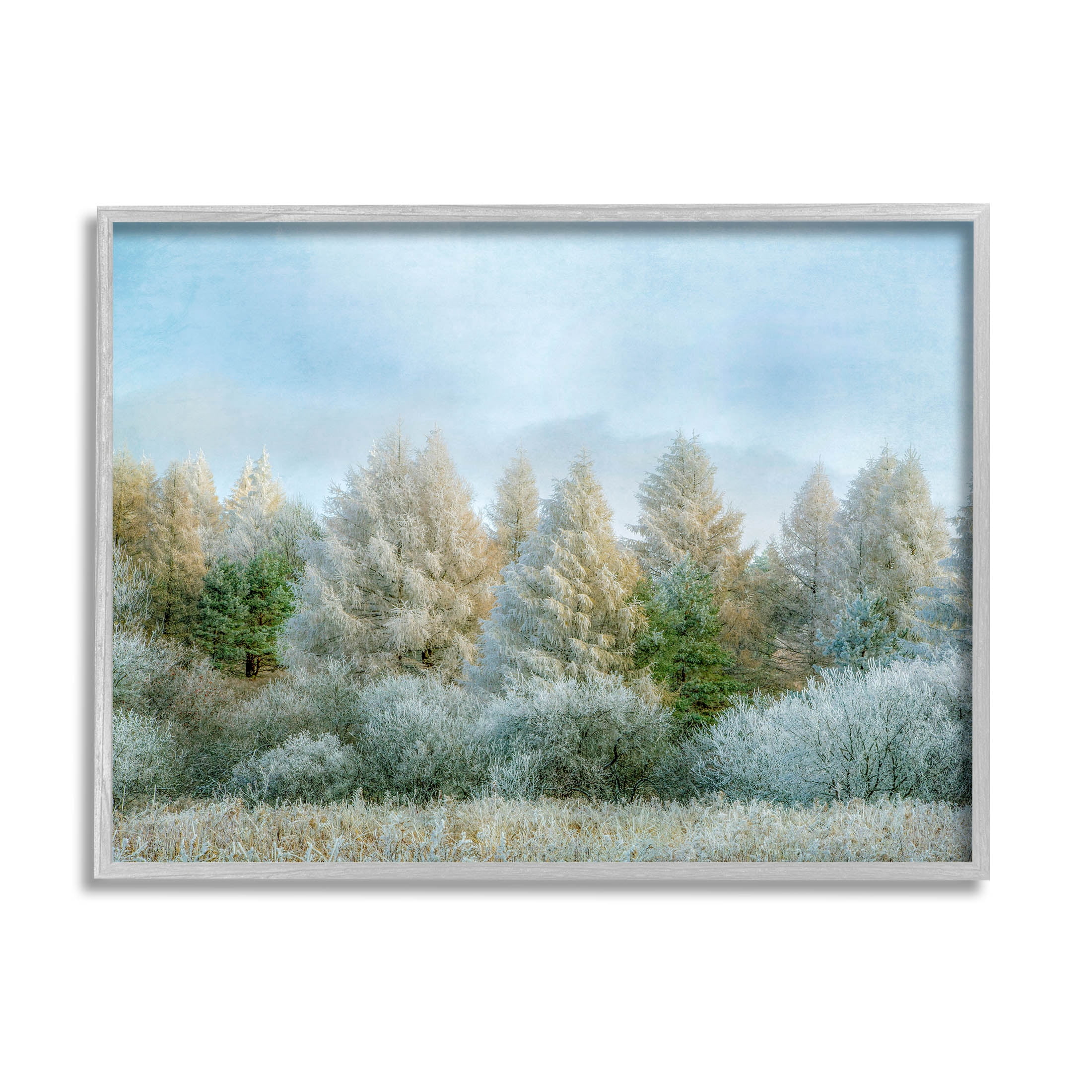 Woodland Grove Forest Trees Landscape Photograph Gray Framed Art Print Wall Art