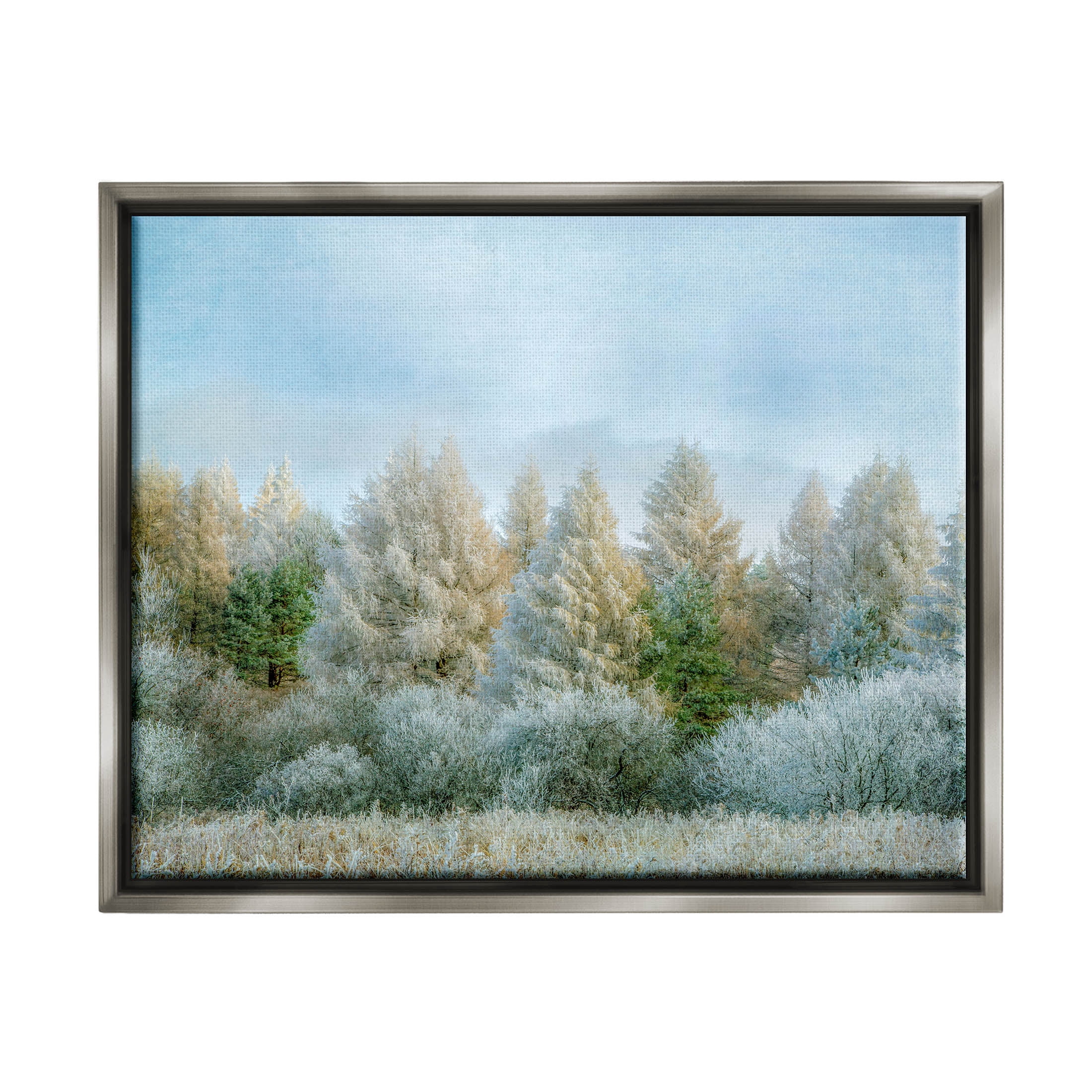 Woodland Grove Forest Trees Landscape Photograph Luster Gray Framed Art Print Wall Art