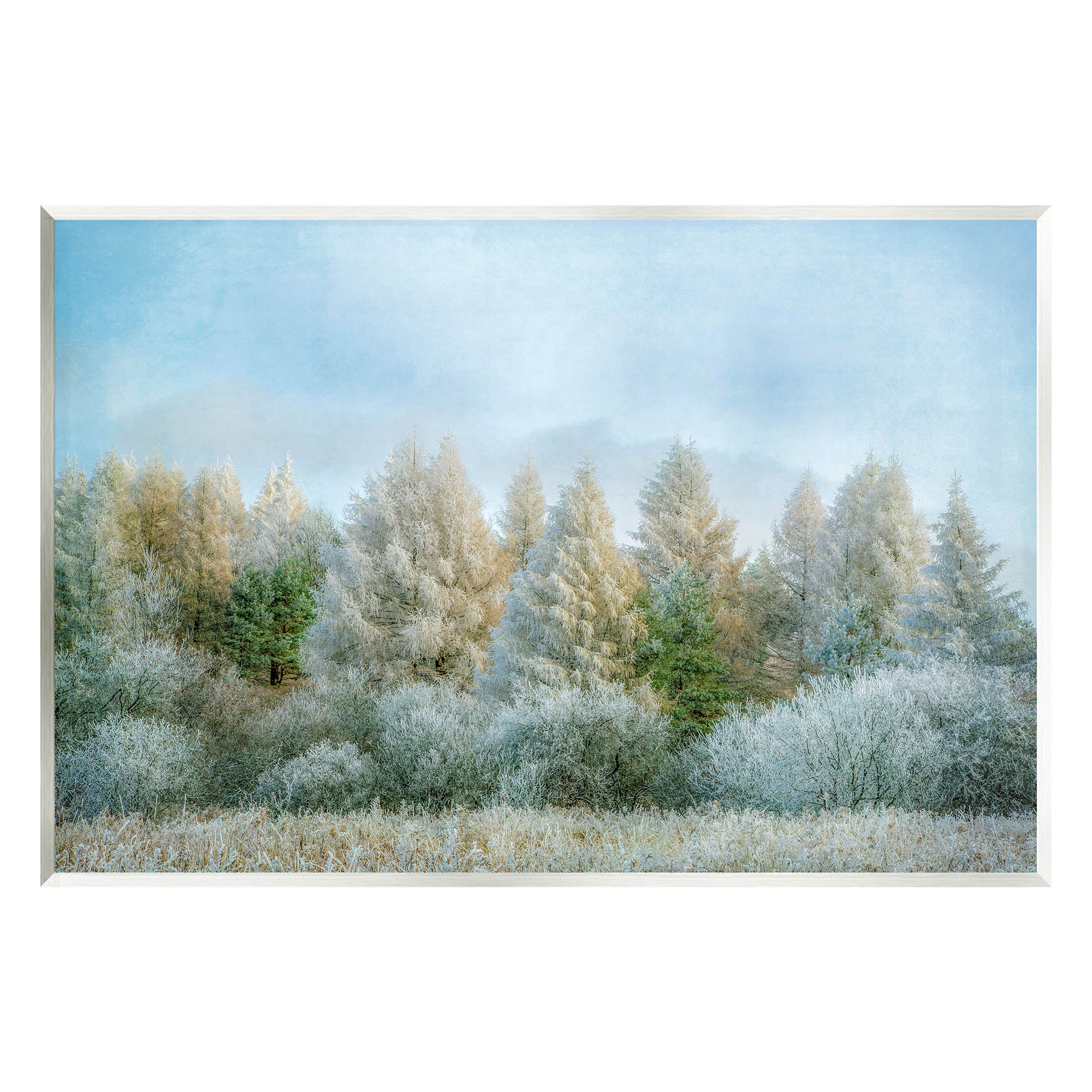 Woodland Grove Forest Trees Landscape Photograph Unframed Art Print Wall Art