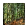 thumbnail image 1 of Woodland Head Scarf, Woodland Pathway Scene, Head Wrap, 3 Sizes, by Ambesonne, 1 of 2