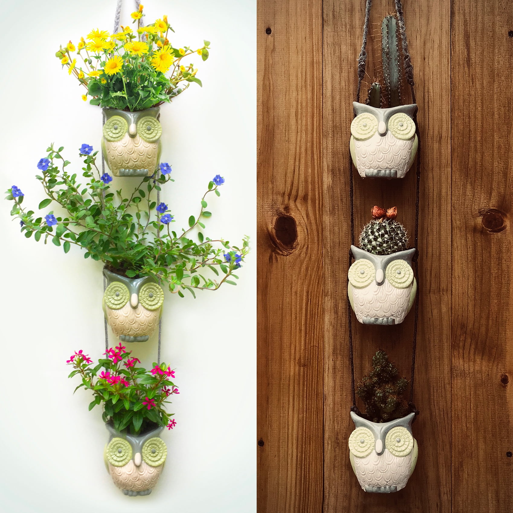 Woodland Jungle Owls. Cool Hanging Succulent Planters for Plants, Flowers & Cactus. Vintage Owl Decor.
