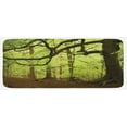 thumbnail image 1 of Woodland Kitchen Mat, English Woodland Scene with Sun Rays Though the Trees Mother Nature Theme, Plush Decorative Kitchen Mat with Non Slip Backing, 47" X 19", Green Brown, by Ambesonne, 1 of 1