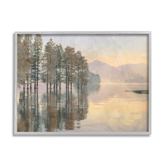 Woodland Lake Reflection Landscape Landscape Graphic Art Gray Framed Art Print Wall Art