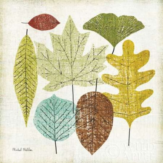 Woodland Leaves Canvas Art - Michael Mullan (24 x 24)
