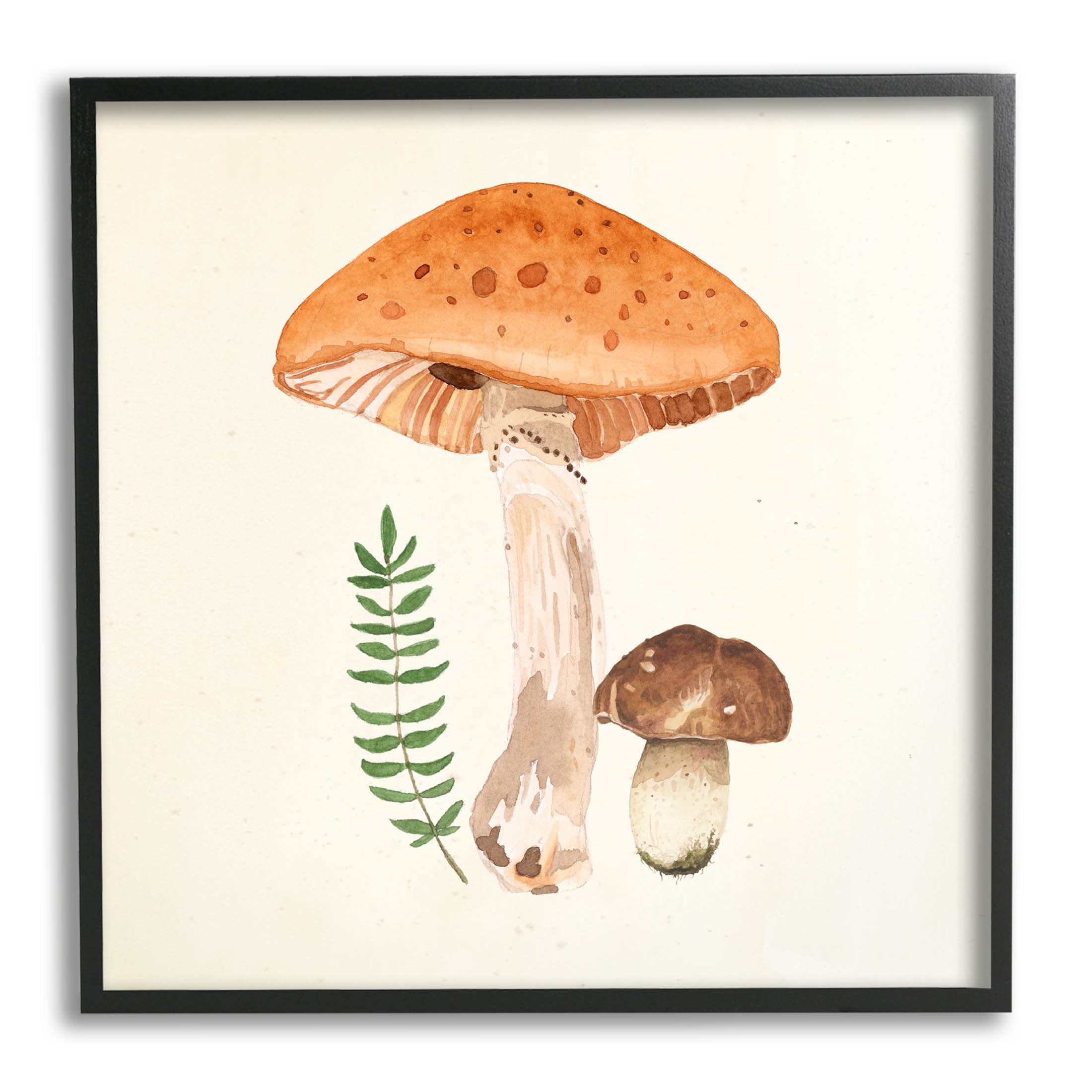 Woodland Mushroom Botanical Fern Botanical & Floral Graphic Art Black Framed Art Print Wall Art