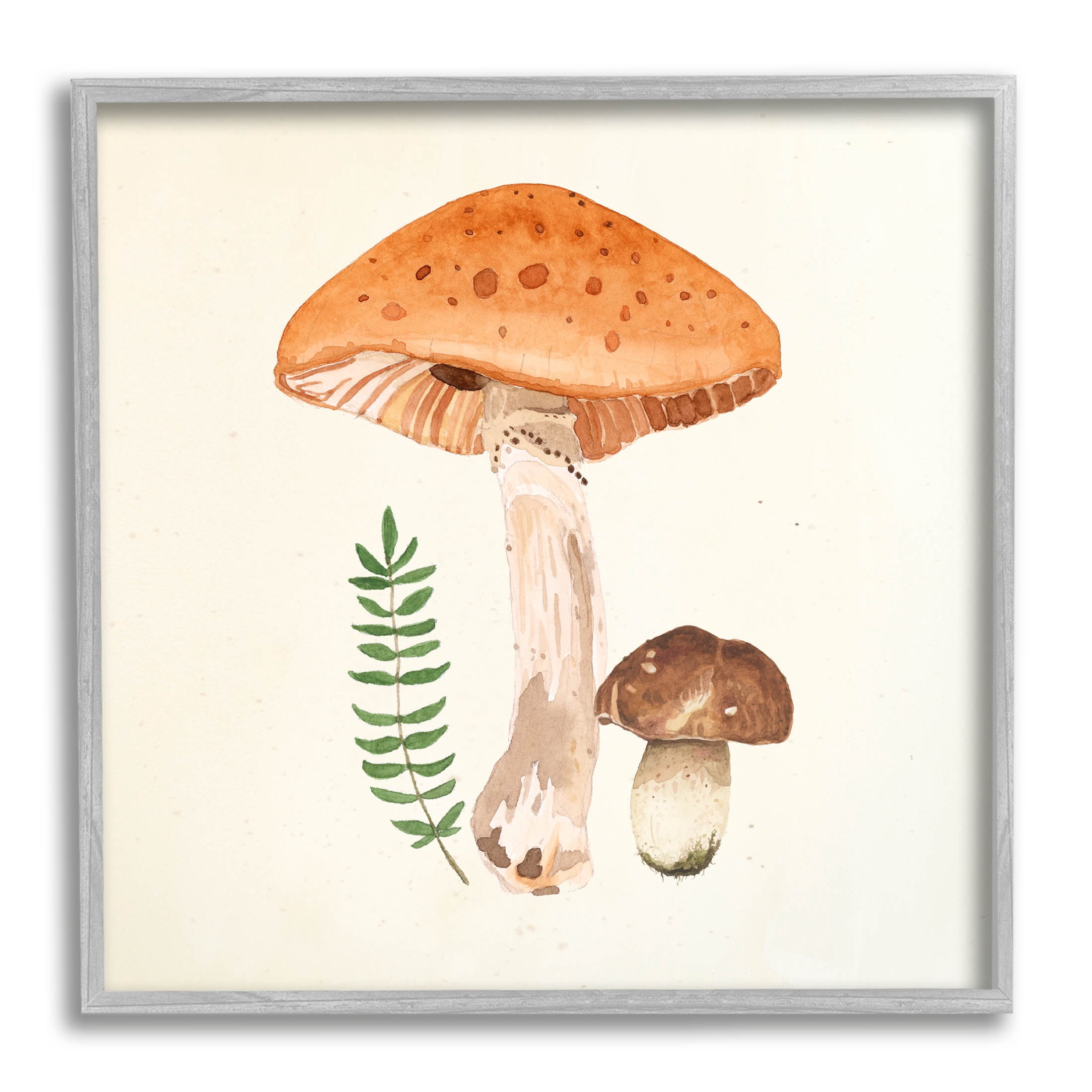 Woodland Mushroom Botanical Fern Botanical & Floral Graphic Art Gray Framed Art Print Wall Art