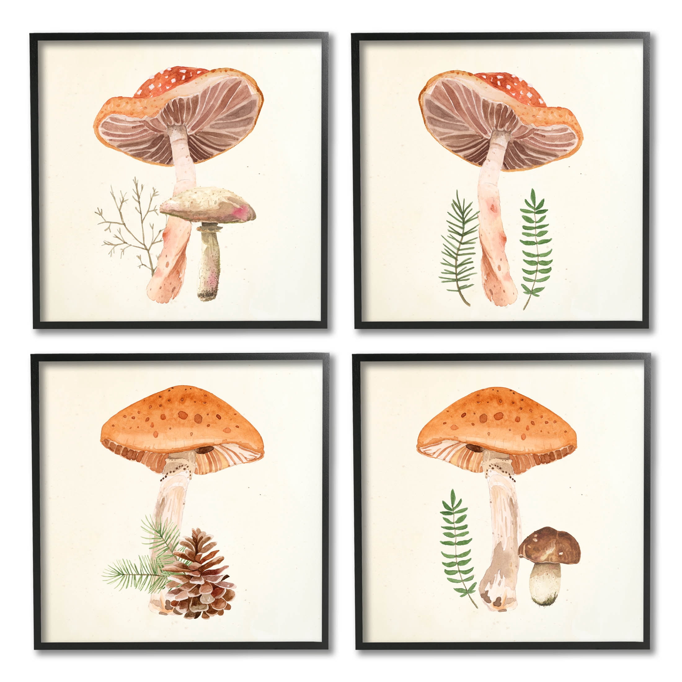 Woodland Mushroom Botanical Sprouts Botanical & Floral Graphic Art Black Framed Art Print Wall Art, Set of 4