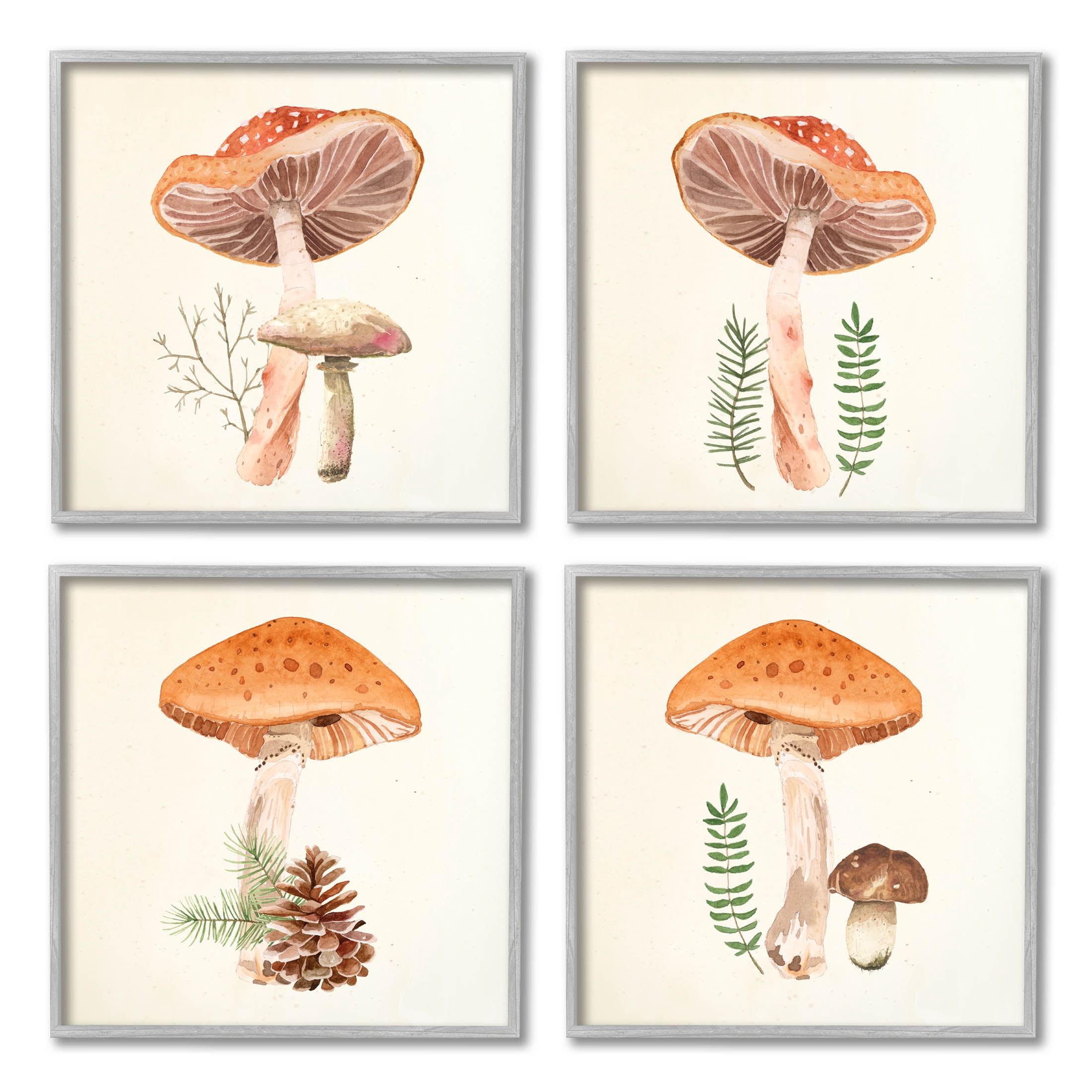 Woodland Mushroom Botanical Sprouts Botanical & Floral Graphic Art Gray Framed Art Print Wall Art, Set of 4