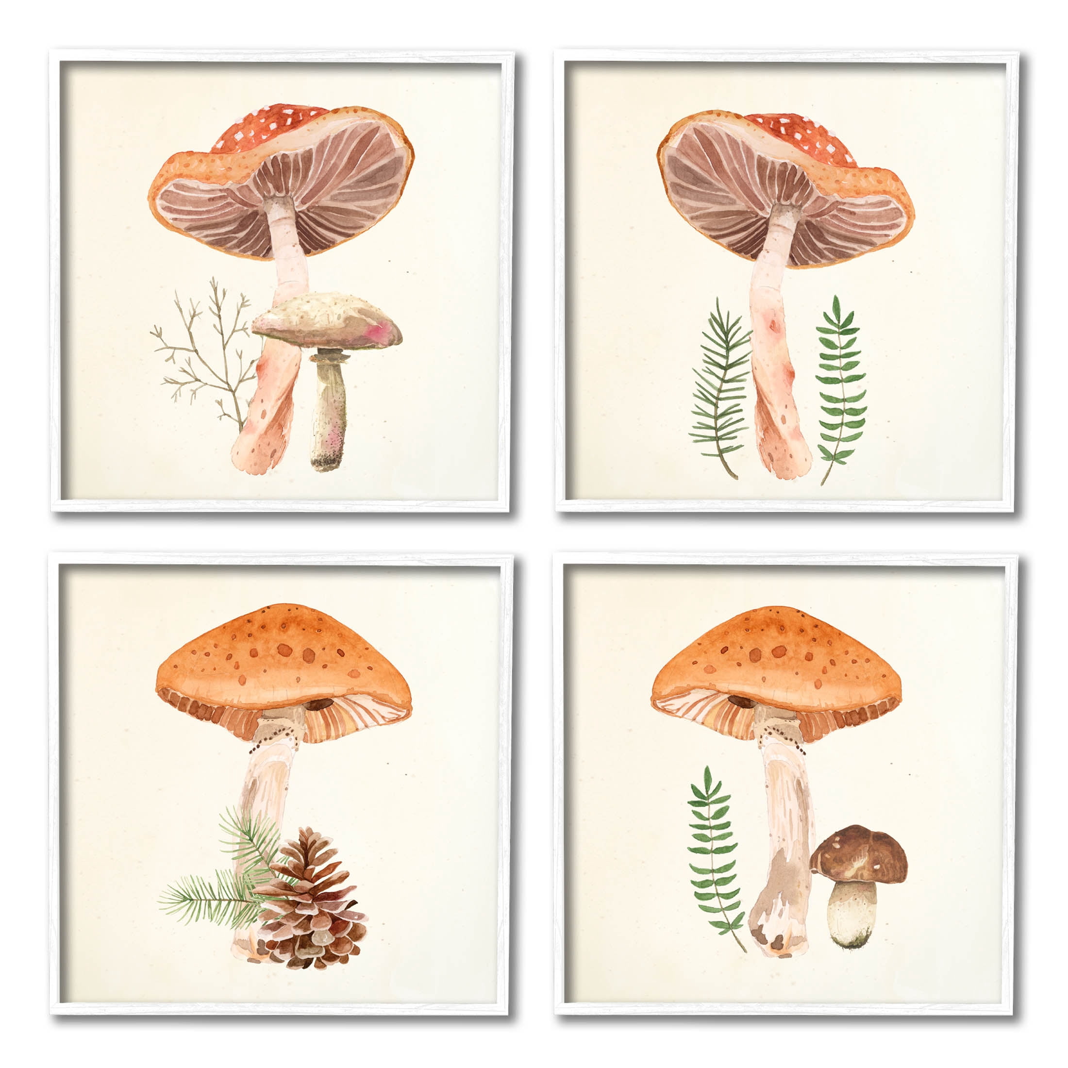 Woodland Mushroom Botanical Sprouts Botanical & Floral Graphic Art White Framed Art Print Wall Art, Set of 4