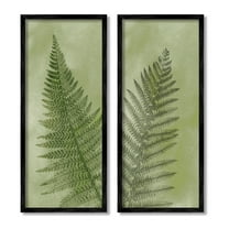 Woodland Nature Fern Leaves Botanical & Floral Graphic Art Black Framed Art Print Wall Art, Set of 2