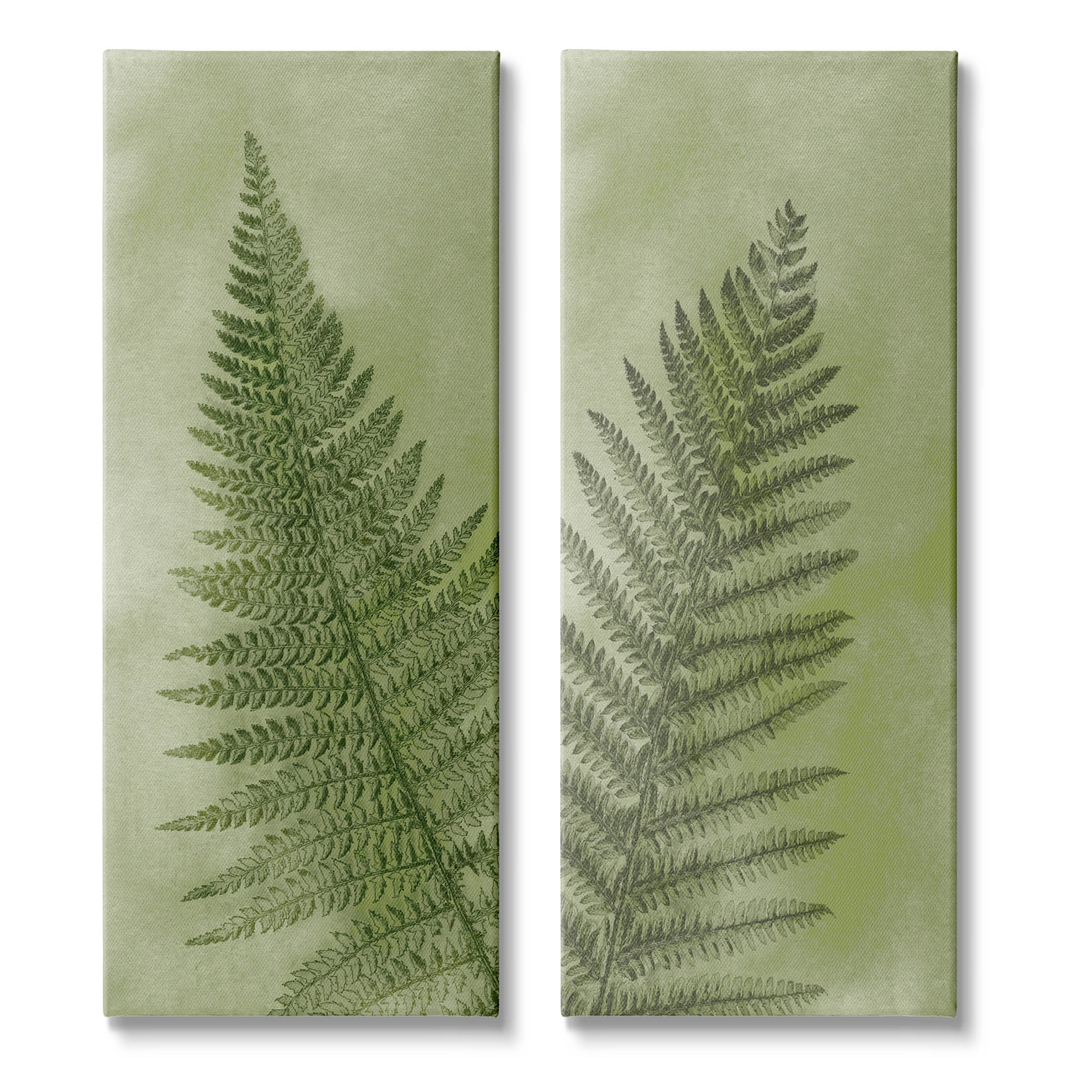 Woodland Nature Fern Leaves Botanical & Floral Graphic Art Gallery Wrapped Canvas Print Wall Art, Set of 2