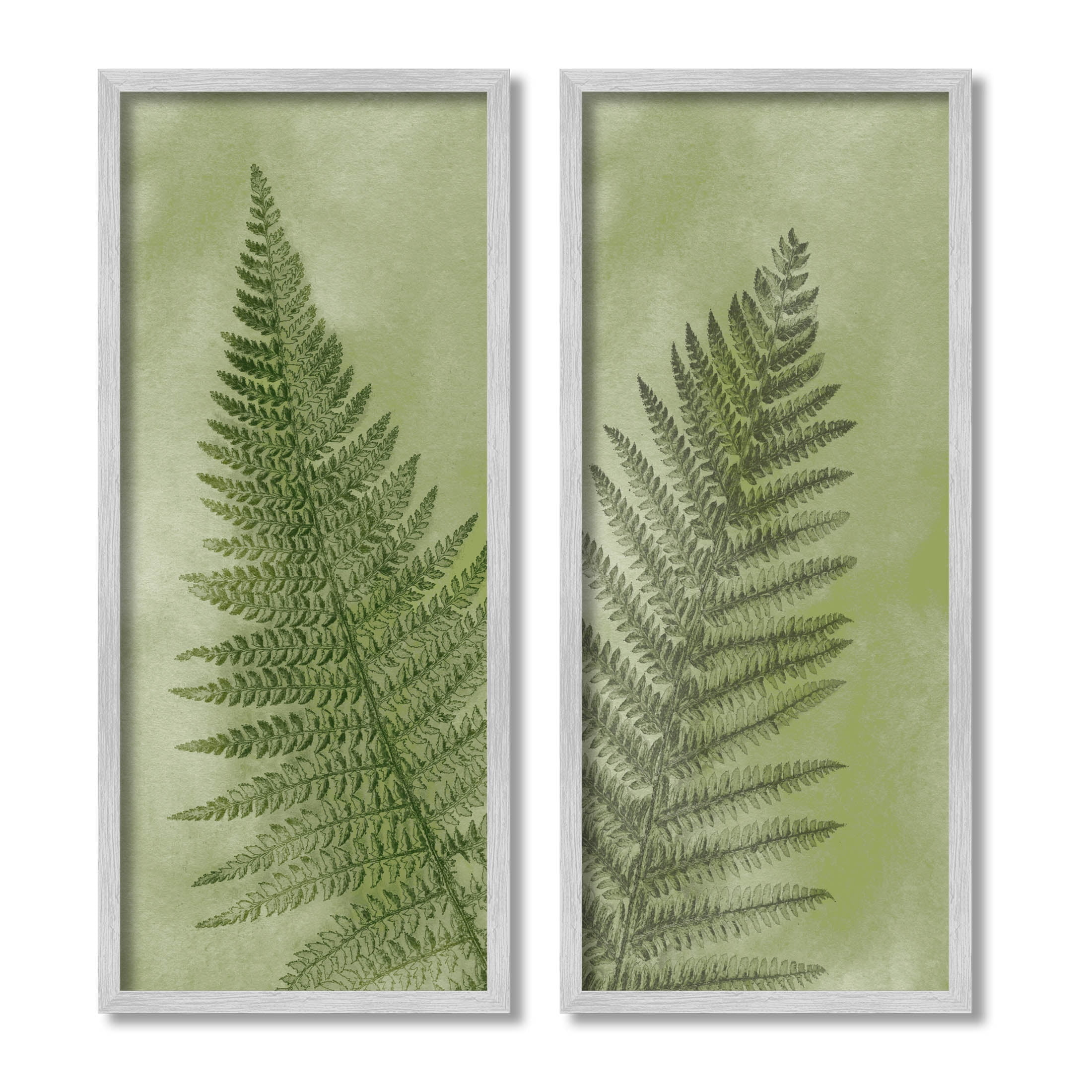 Woodland Nature Fern Leaves Botanical & Floral Graphic Art Gray Framed Art Print Wall Art, Set of 2