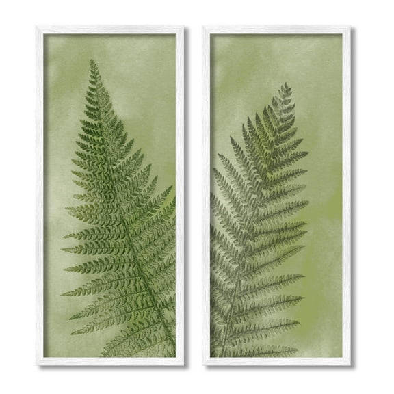 Woodland Nature Fern Leaves Botanical & Floral Graphic Art White Framed Art Print Wall Art, Set of 2