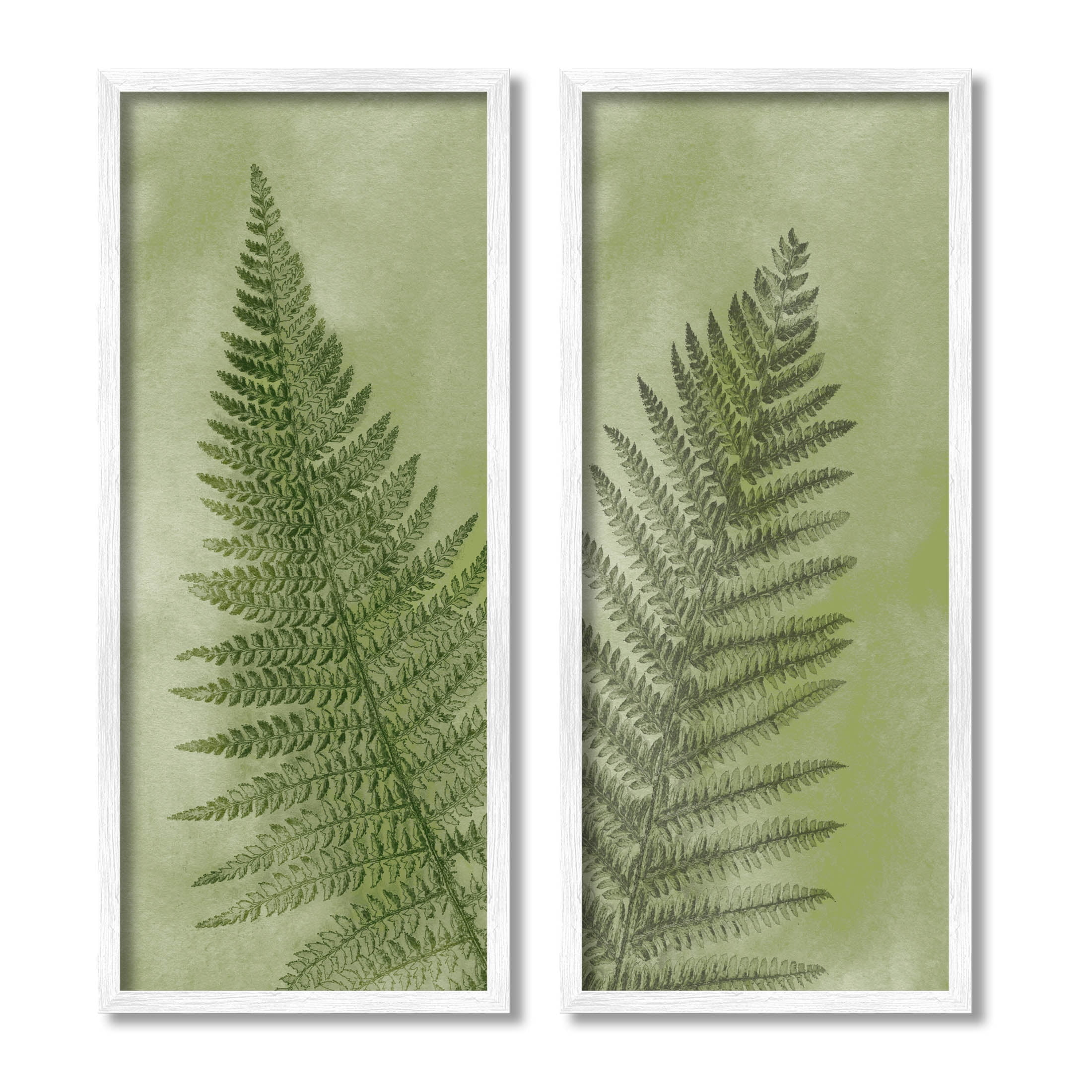 Woodland Nature Fern Leaves Botanical & Floral Graphic Art White Framed Art Print Wall Art, Set of 2