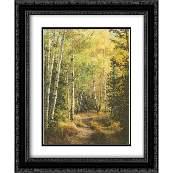 Woodland Path 2x Matted 20x24 Black Ornate Framed Art Print by Pat Durgin