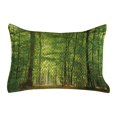 thumbnail image 1 of Woodland Quilted Pillowcover, Deciduous Forest Trees in Summertime Foliage Sun Rays Romantic Holidays Scenic Image, Standard King Size Accent Pillow Cover for Bedroom, 36" x 20", Green, by Ambesonne, 1 of 2