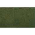 thumbnail image 1 of Woodland Scenics 25 x 33 Grass Mat Forest WOORG5173 Train Scenery Non Scale, 1 of 2