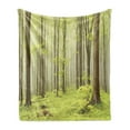 thumbnail image 1 of Woodland Soft Flannel Fleece Blanket, Misty Spring Beech Forest in the Mountains of Central Europe Wild Nature Picture, Cozy Plush for Indoor and Outdoor Use, 70" x 90", Green Beige, by Ambesonne, 1 of 5