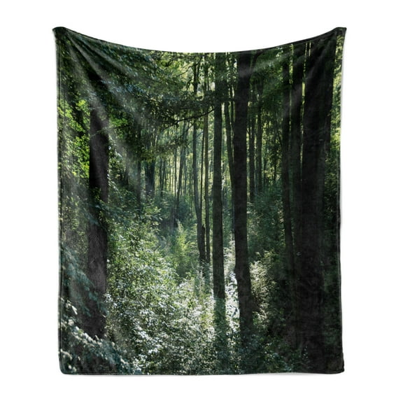 Woodland Soft Flannel Fleece Blanket, Pattern of Beech Tree Forest Scene in the Daylight Nature Picturesque, Cozy Plush for Indoor and Outdoor Use, 50" x 60", Green and Charcoal Grey, by Ambesonne