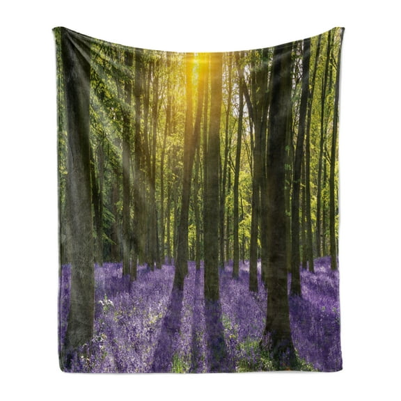 Woodland Soft Flannel Fleece Blanket, Sunbeams in the Forest of Bluebells Blooms Deep in Woodland Oxfordshire, Cozy Plush for Indoor and Outdoor Use, 50" x 60", Violet Green Yellow, by Ambesonne
