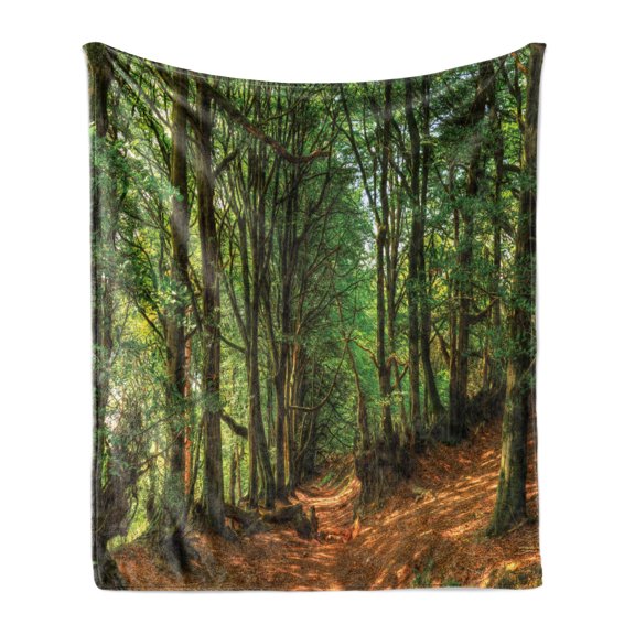 Woodland Soft Flannel Fleece Throw Blanket, Forest Scene Trees and Pathway Foliage Trunk Greenery Outdoor Picture, Cozy Plush for Indoor and Outdoor Use, 50" x 60", Green Brown, by Ambesonne