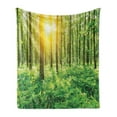 thumbnail image 1 of Woodland Soft Flannel Fleece Throw Blanket, Forest Springtime Freshness Theme Foliage Sunbeams Sunrise Nature View Scene, Cozy Plush for Indoor and Outdoor Use, 70" x 90", Green Yellow, by Ambesonne, 1 of 5