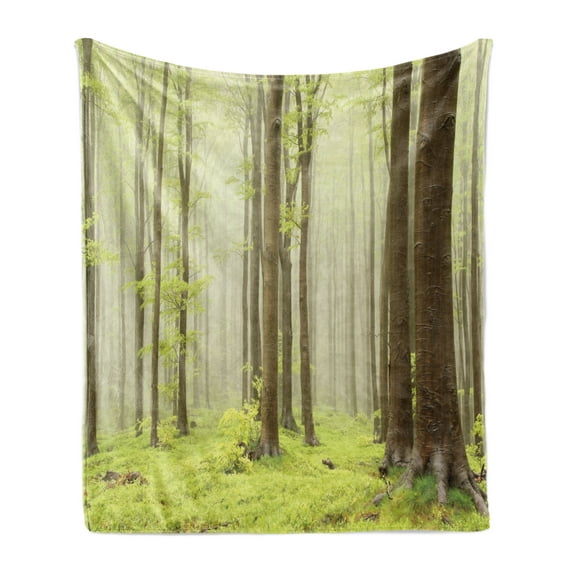 Woodland Soft Flannel Fleece Throw Blanket, Misty Springtime Beech Forest Photo Taken in the Mountains of Central Europe, Cozy Plush for Indoor and Outdoor Use, 50" x 60", Brown Green, by Ambesonne