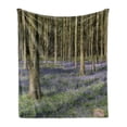 thumbnail image 1 of Woodland Soft Flannel Fleece Throw Blanket, Real Life Photo of Bluebells in Wepham Wood Wild Flowers Nature Theme Photo, Cozy Plush for Indoor and Outdoor Use, 50" x 60", Multicolor, by Ambesonne, 1 of 6