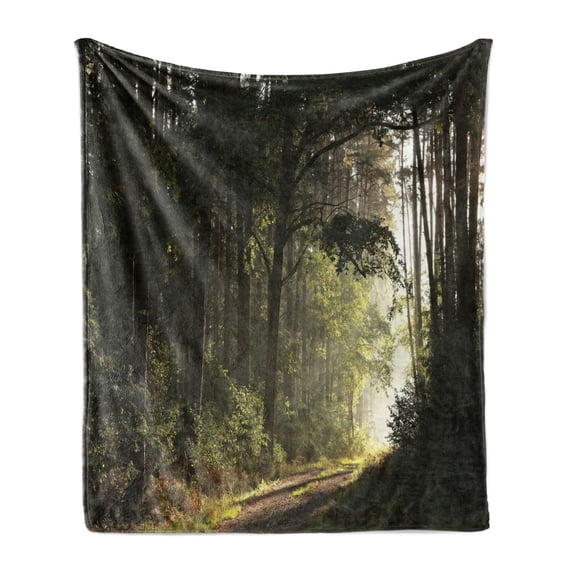 Woodland Soft Flannel Fleece Throw Blanket, Trail Through the Autumn Forest on a Foggy Morning Rustic Countryside Photo, Cozy Plush for Indoor and Outdoor Use, 60" x 80", Multicolor, by Ambesonne