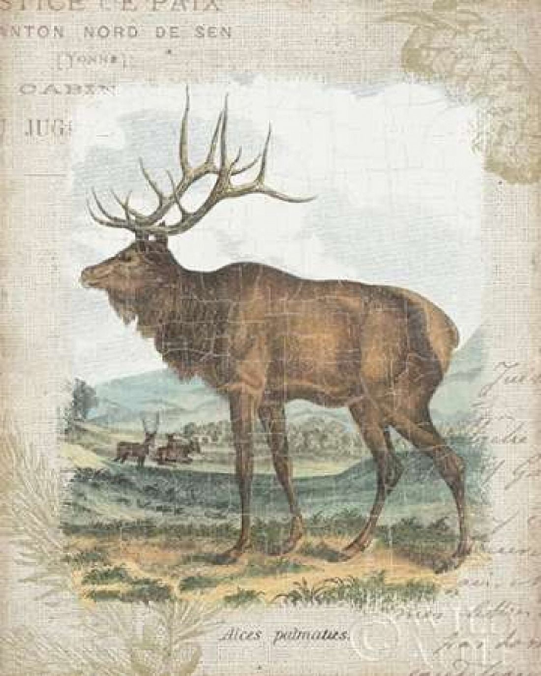 Woodland Stag II Canvas Art - Wild Apple Portfolio (24 x 30)