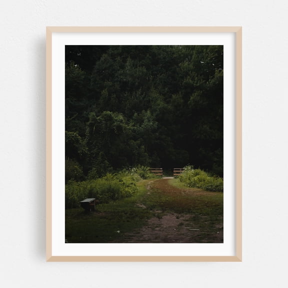 Woodland Trail 01 - Marlborough Massachusetts Photography Oak Framed Wall Art Print 16 x 20 inches