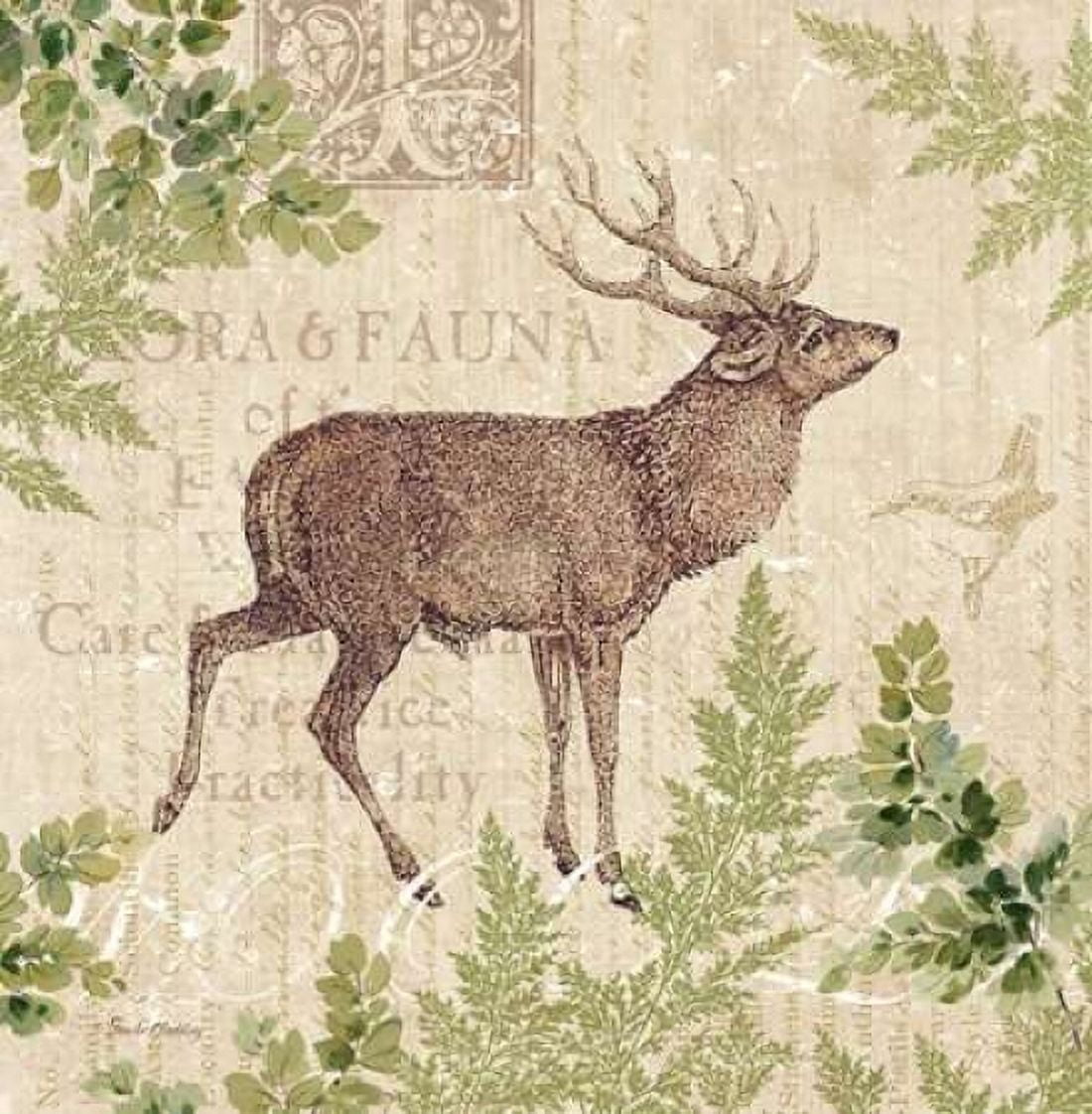Woodland Trail I - deer Canvas Art - Pamela Gladding (24 x 24)