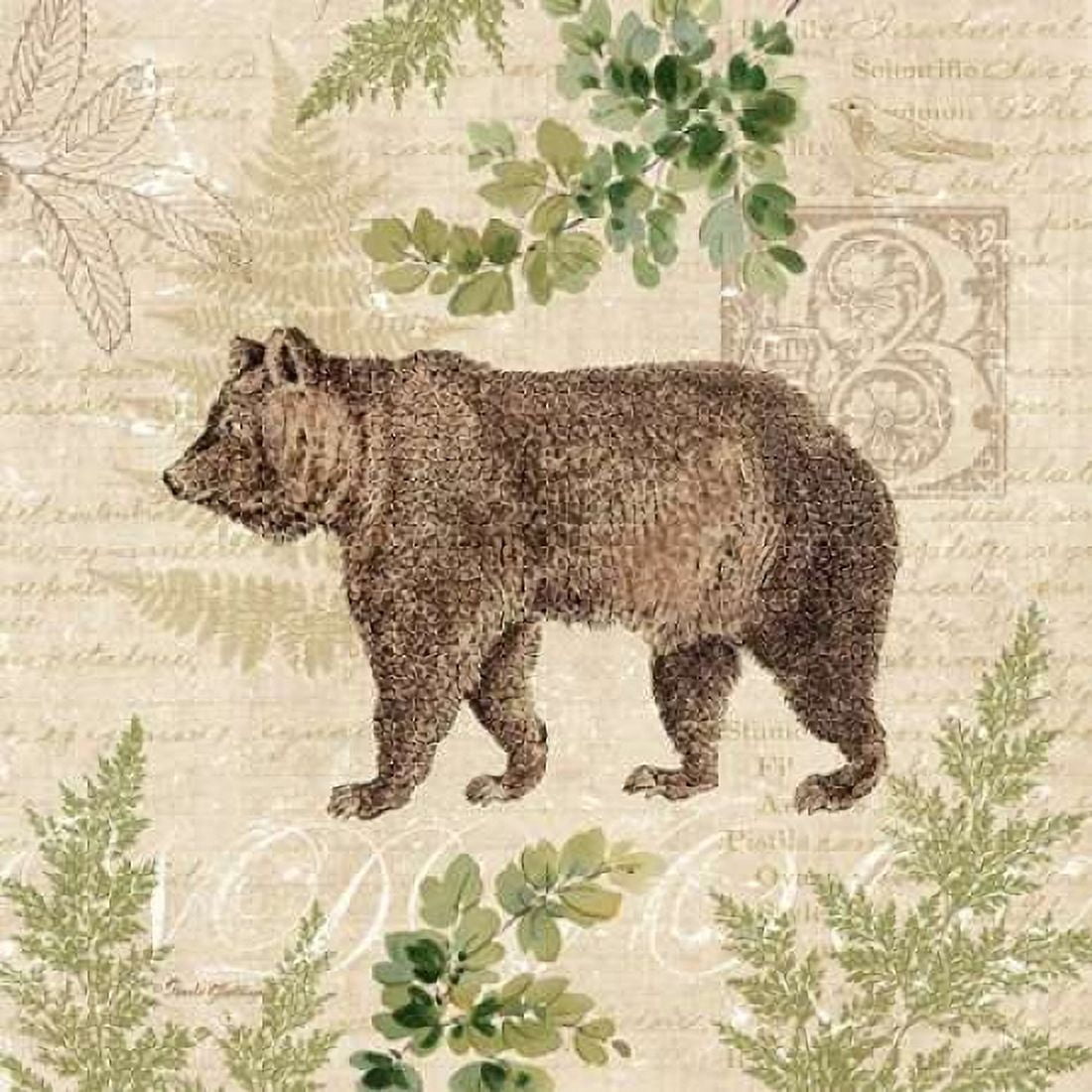 Woodland Trail II - bear Canvas Art - Pamela Gladding (24 x 24)