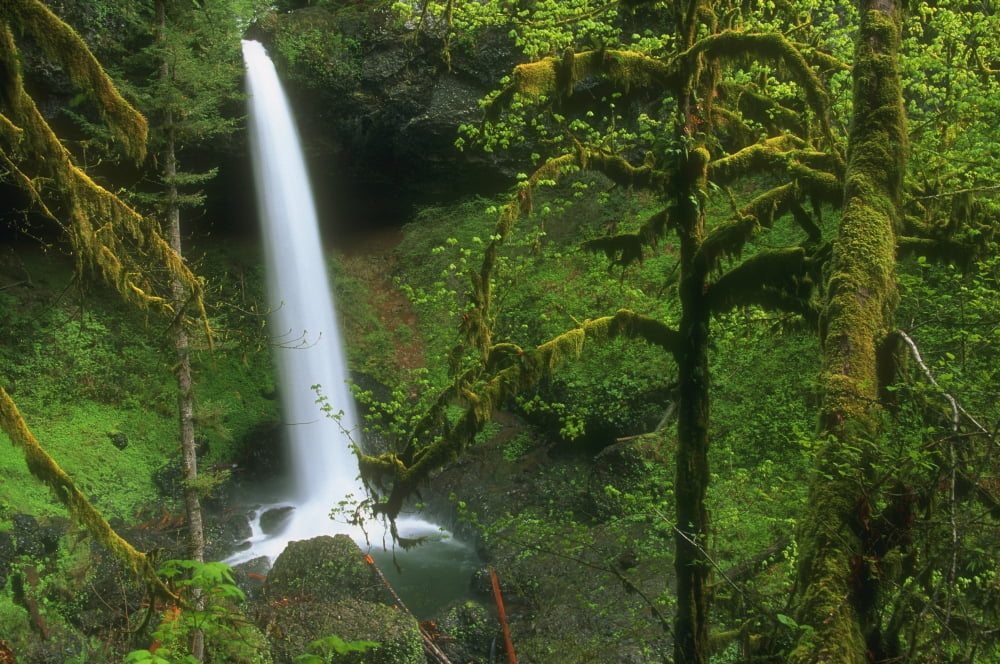 Woodland Waterfall Usa Canvas Art - Bilderbuch Design Pics (18 x 11)