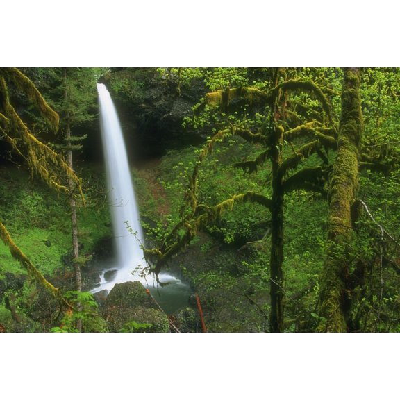 Woodland Waterfall Usa Canvas Art - Bilderbuch  Design Pics (18 x 11)