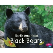 Woodland Wildlife North American Black Bears, (Paperback)