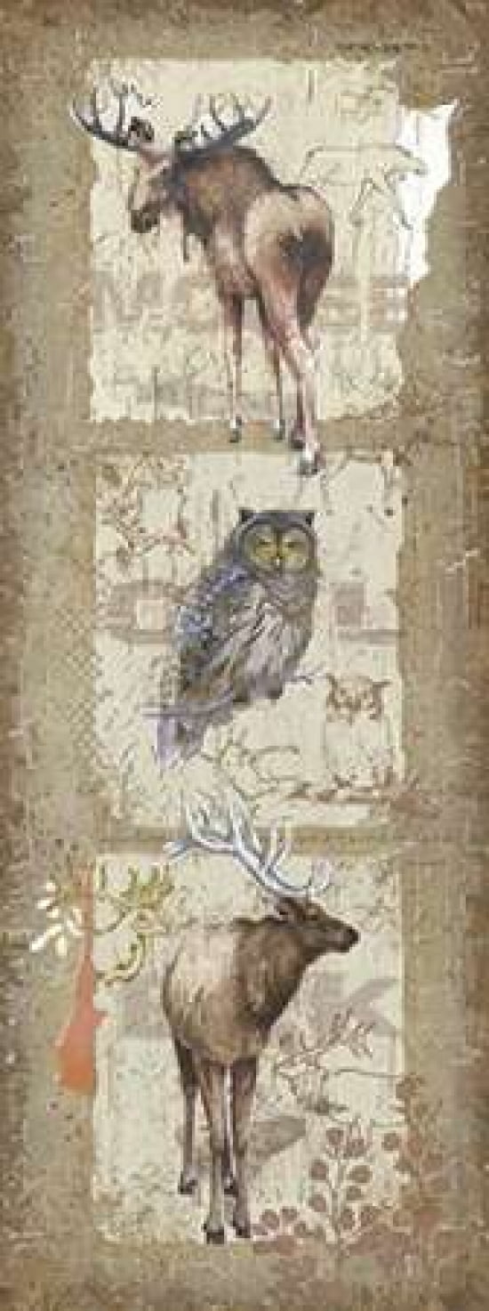 Woodlands IV Canvas Art - Anita Phillips (24 x 48)