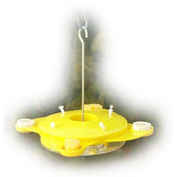 12 oz Butterfly Feeder