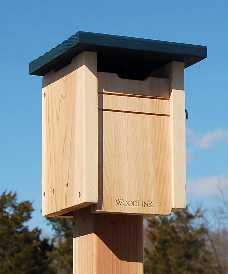 Cedar Bluebird and Swallow House with Blue Roof