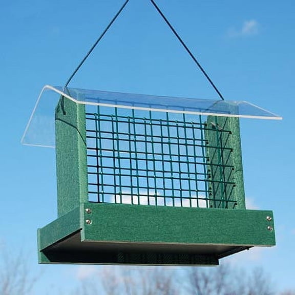 Woodlink Going Green Peanut or Large Suet Cake Feeder, Green