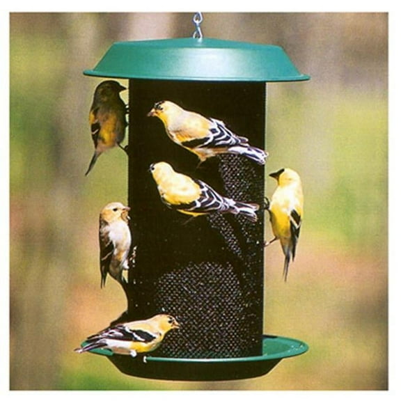 Woodlink NAMAG2 Audubon Hunter Plastic Magnum Nyjer Thistle Wild Bird Feeder, Green