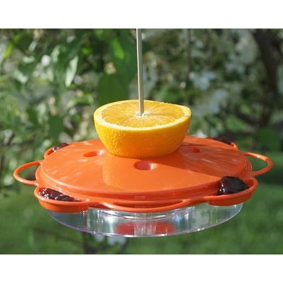Woodlink Plastic Saucer Oriole Feeder, 14 oz.