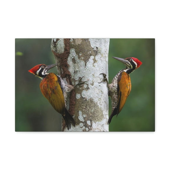 Woodpecker Couple Woodpecker Couple Print Animal Wall Art Wildlife Canvas Prints Wall Art Ready to Hang Unframed