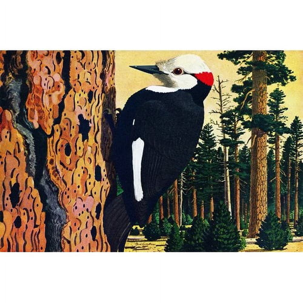 "Woodpecker" Painting Print on Wrapped Canvas