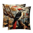 thumbnail image 1 of Woodpecker Stylish Velvet Throw Pillow Covers Inserts Set of 2 for Bed & Chair - Unique Patterns, 16x16, 18x18, & 20x20 Inches for Any Occasion!, 1 of 6